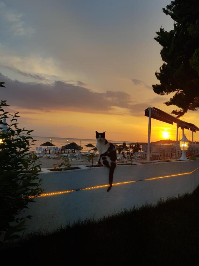 Villa Sevilla Kusadasi Exterior foto